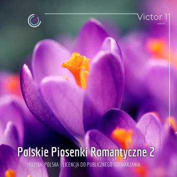 Polskie Piosenki Romantyczne 02 – RADIO HIT